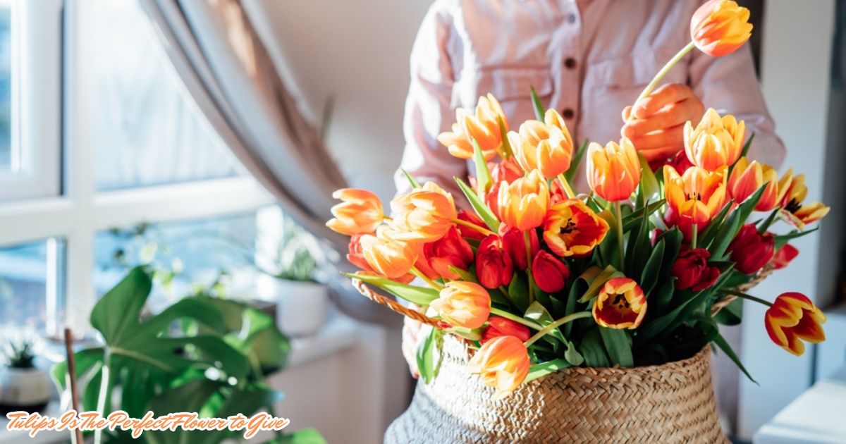 Tulips Is The Perfect Flower and Why They Always Win Hearts